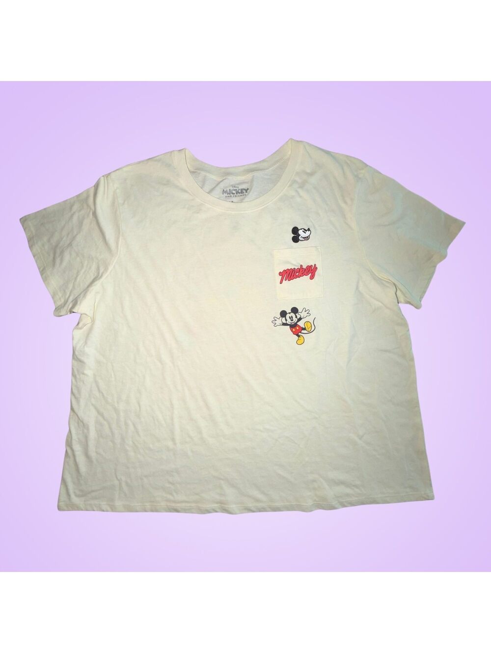 Women’s New Plus Size 3X Disney Mickey Mouse and Friends Graphic T-Shirt